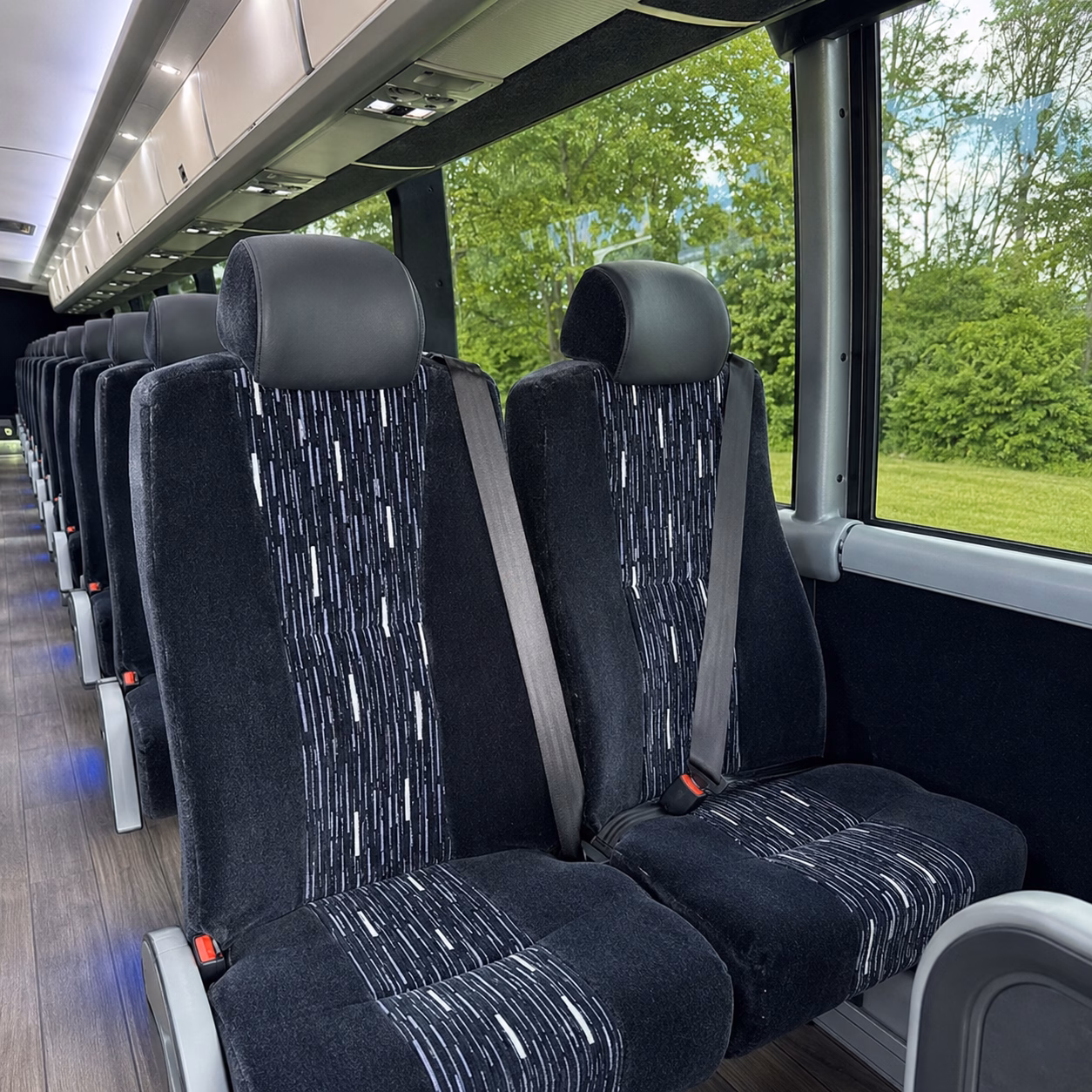 el paso charter bus services interior